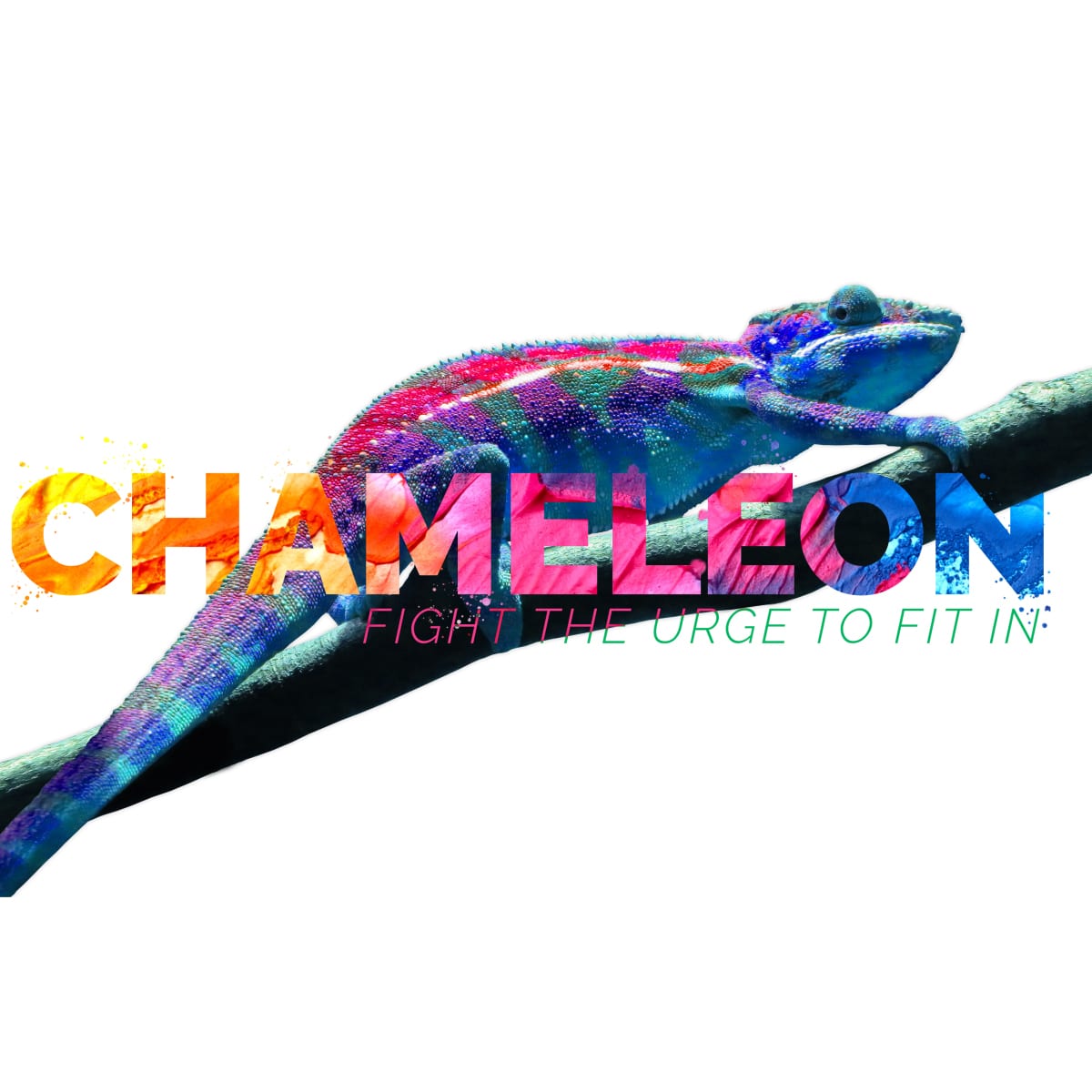 Chameleon : Full of ______ Image